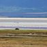 Ngorongoro Conservation Area
