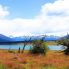 8° giorno: Tierra del Fuego