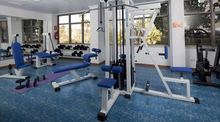 palestra