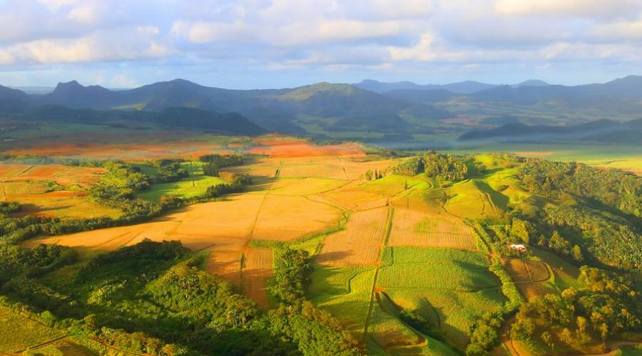 La natura a Mauritius