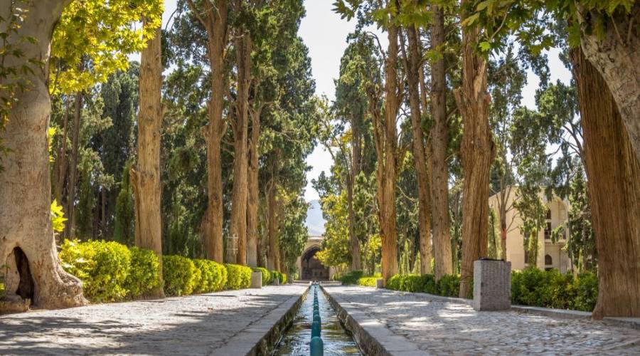 Vicolo principale del Kashan Fin Garden, noto anche come parco Bagh e Fin. È un punto di riferimento turistico di Kashan, in Iran, e un simbolo dell'impero persiano