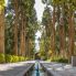 Vicolo principale del Kashan Fin Garden, noto anche come parco Bagh e Fin. È un punto di riferimento turistico di Kashan, in Iran, e un simbolo dell'impero persiano
