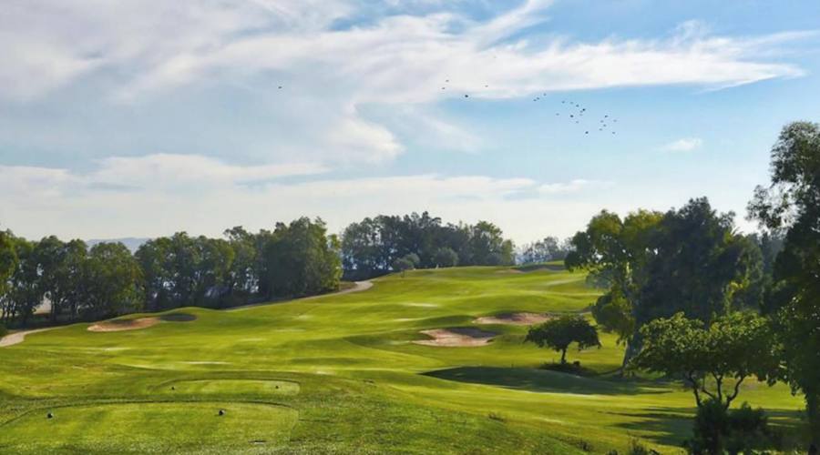 Golf Citrus
