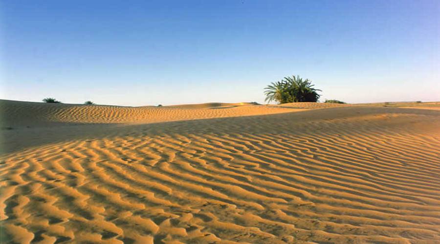 deserto