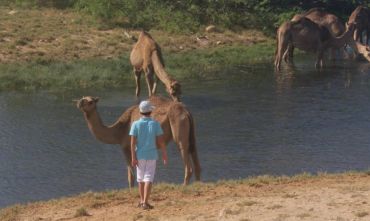 Le Meraviglie del  Dhofar, nella Terra delle 