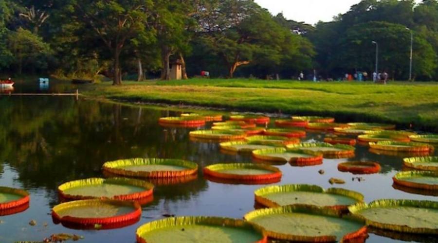 Naturaleza virgen en Tamil Nadu