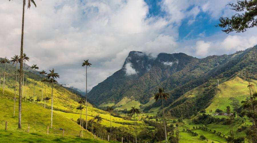 Colombia Palme nella Valle Cocora