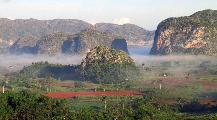 Vinales piantagioni di tabacco