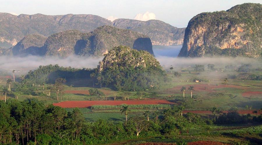 Vinales piantagioni di tabacco