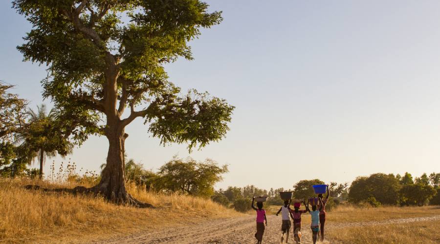 Il Senegal