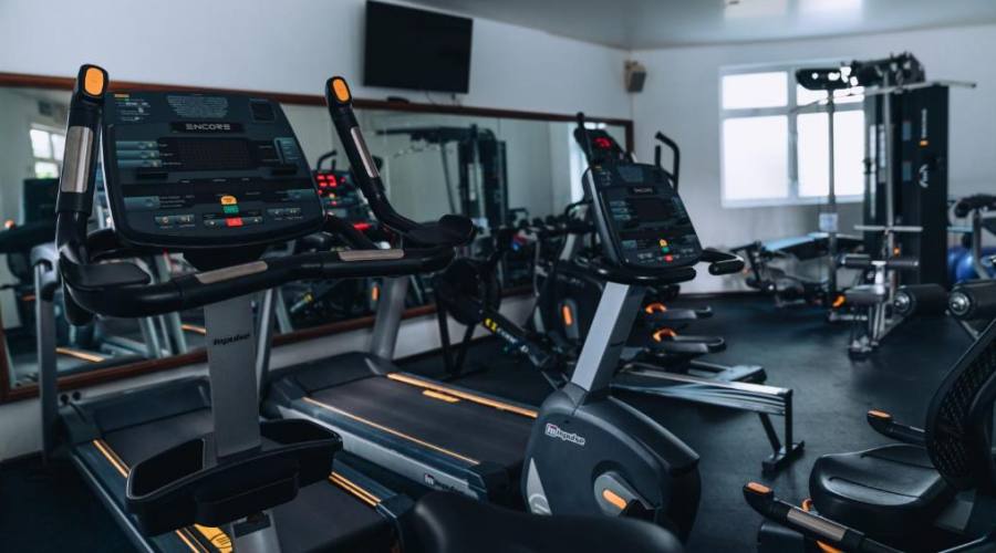 La palestra