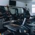 La palestra