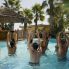 Attivit&agrave; in piscina