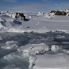 Paesaggio antartico