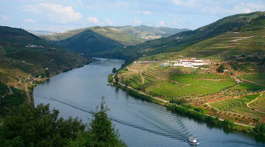 Regione di Porto, Valle del Douro