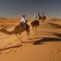 Wahiba Sands, il grande deserto dell'Oman