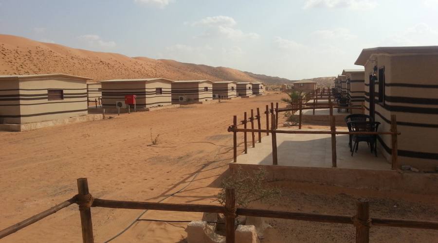 Arabian Orix Camp