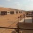 Arabian Orix Camp