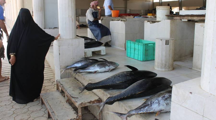 Souq a Muscat-il mercato del pesce