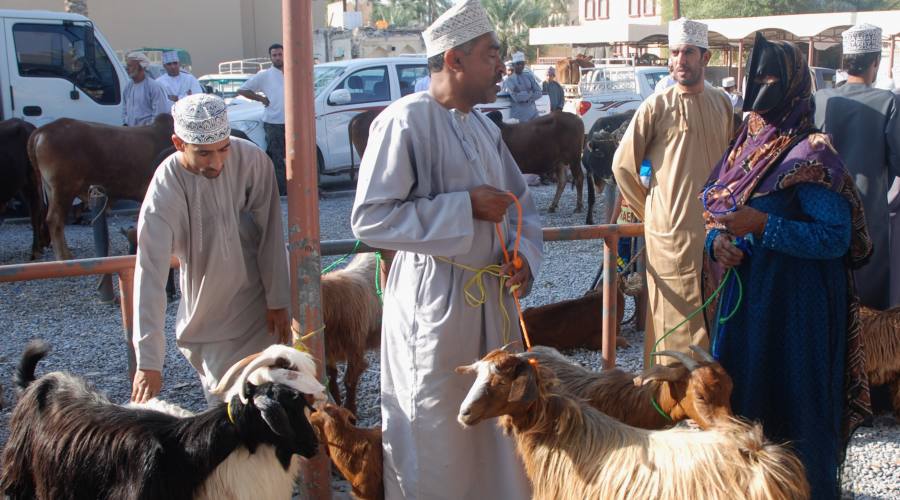 Nizwa- Mercato  del bestiame