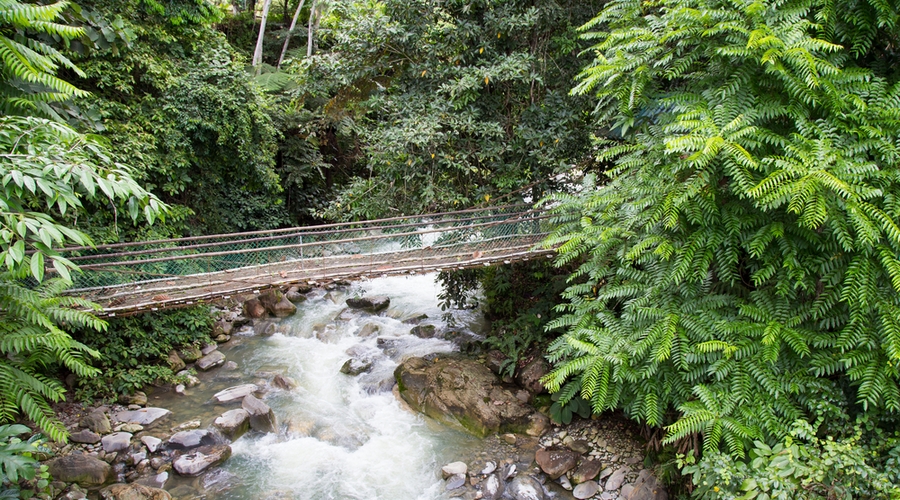 Una cascata nella giungla del Borneo