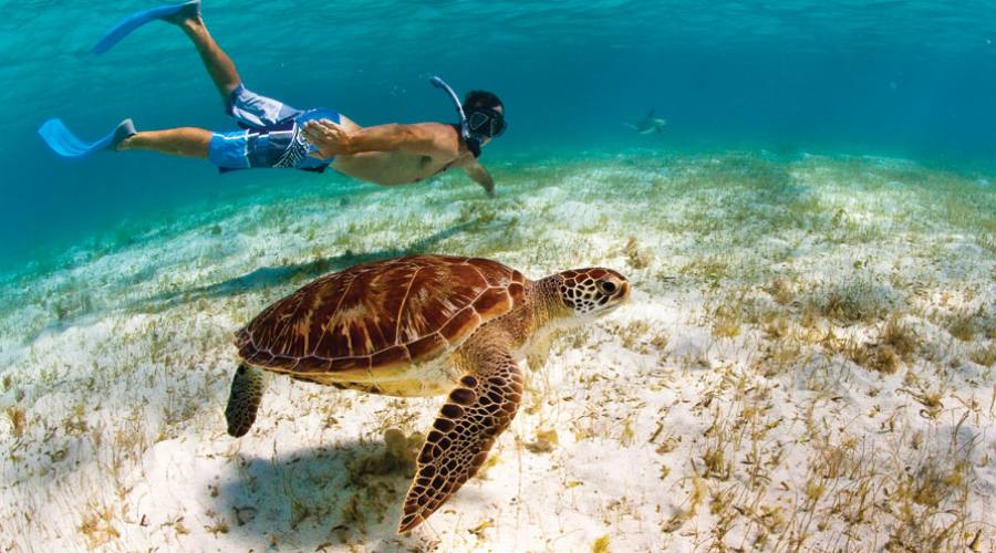 Diving alle Seychelles