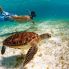 Diving alle Seychelles