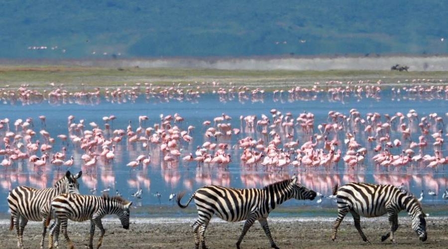 Área de conservación de Ngorongoro