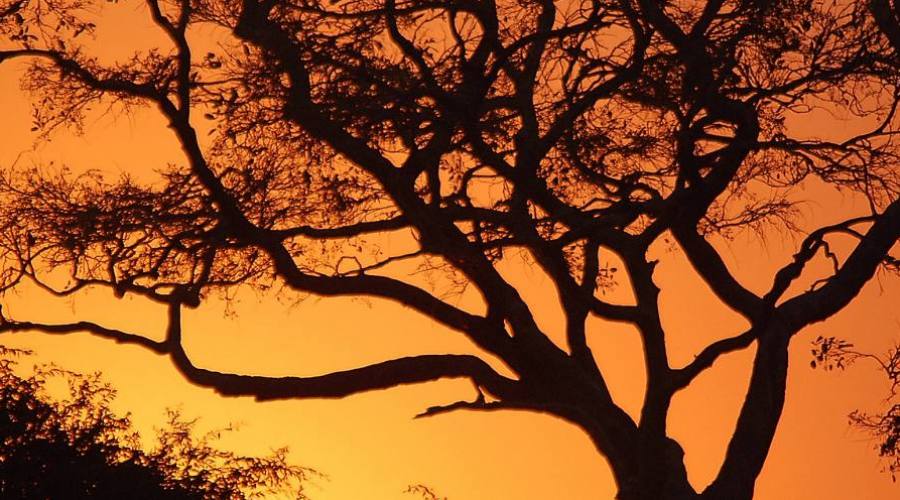 puesta de sol en el Kruger