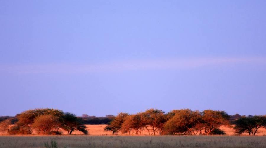 paisaje en el parque Kruger