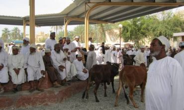 Natale o Capodanno in Tour al Profumo d'Incenso
