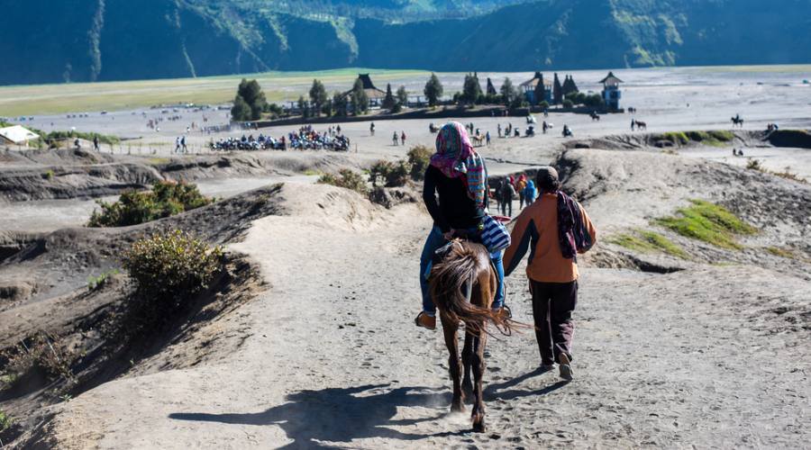 Trasporto tramite i cavalli