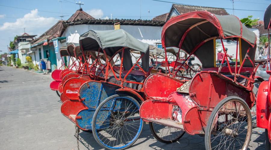 I carretti come mezzo di trasporto