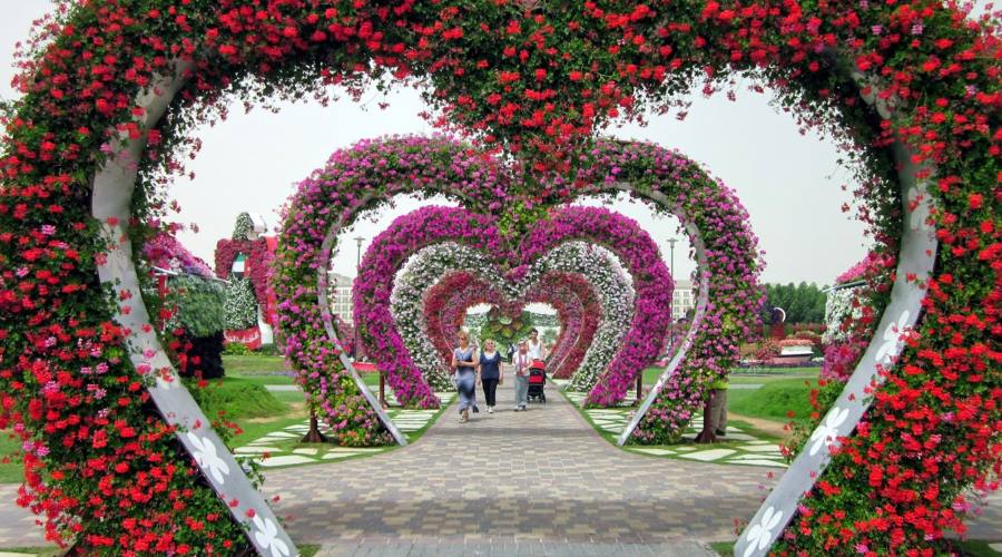 Miracle Garden