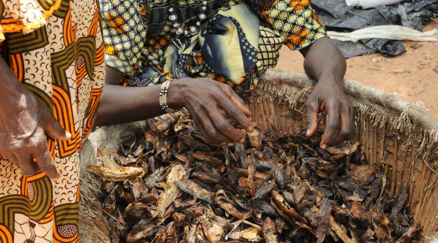 Pesce essiccato al mercato di Djenne