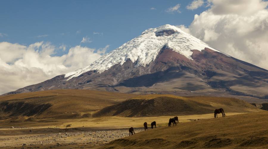 Vulcano Cotopaxi in Ecuador