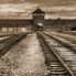 auschwitz