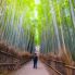 Kyoto: Foresta di Bambu' di Arashiyama