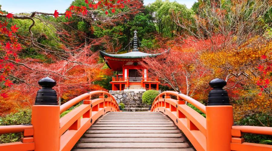 Il tempio Daigoji a Kyoto