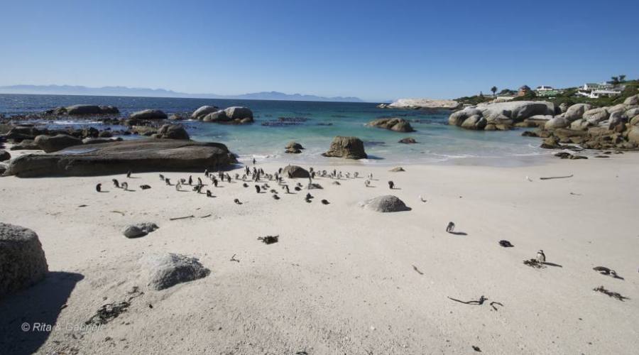 Boulders Beach