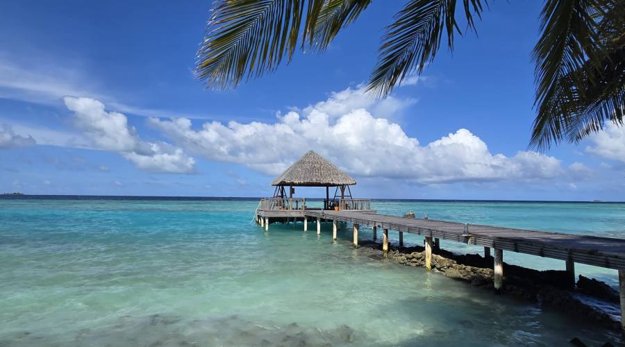 Pontile