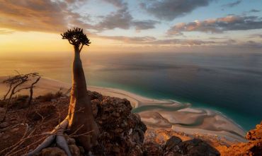 Wild Socotra: Tour in tenda