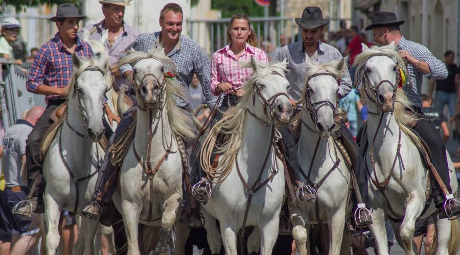 Camargue, in corsa