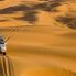 Il deserto di Wahiba Sands