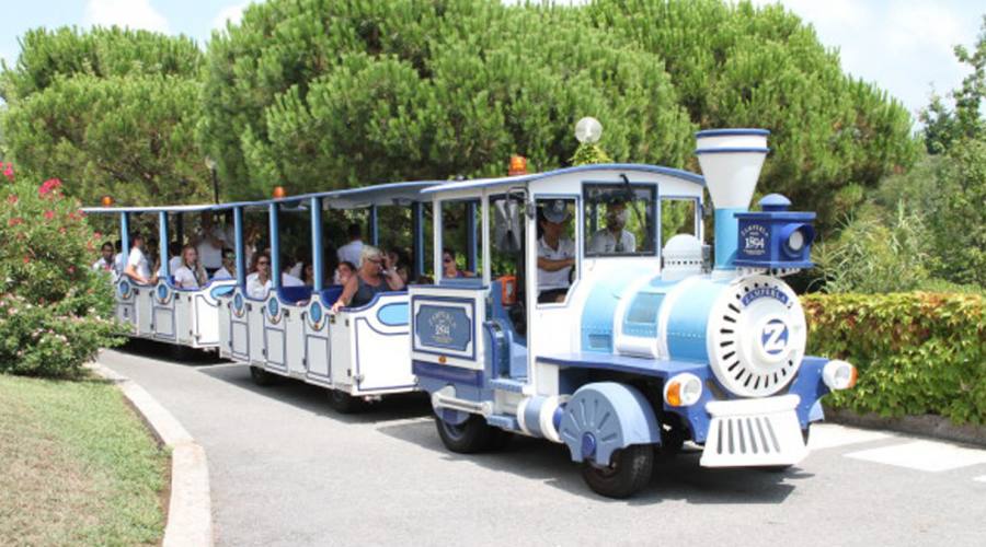 Il trenino divertente