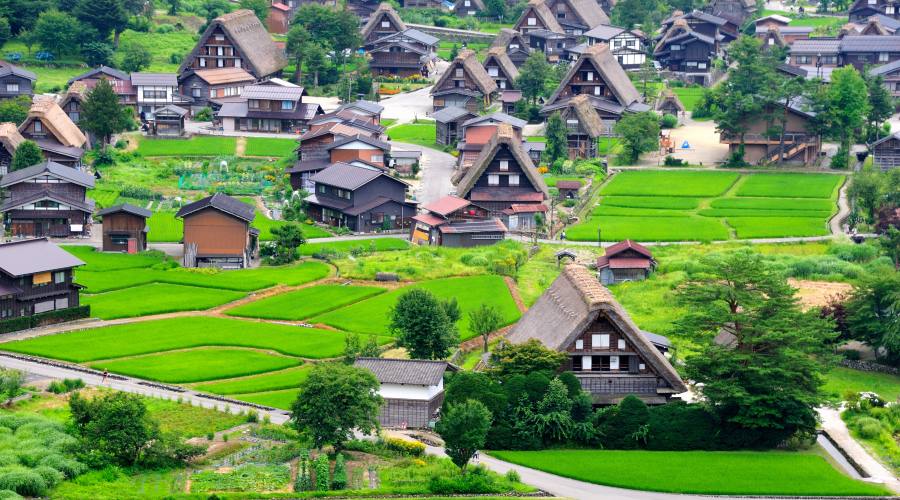 Shirakawago