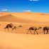 Sahara Desert