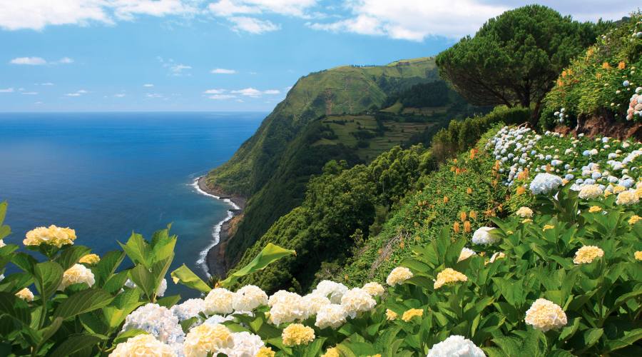 São Miguel, panorama