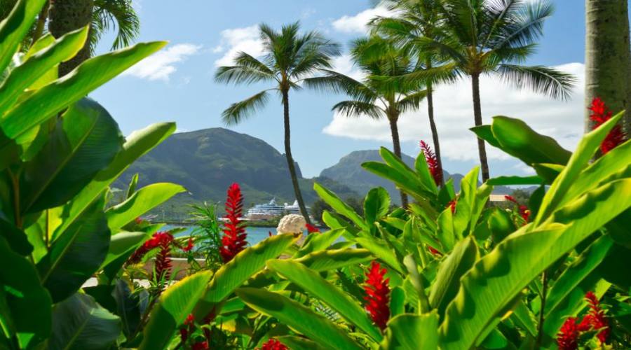 Beautiful view of Nawiliwili, Kauai Island