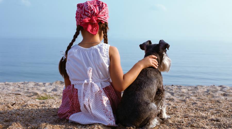 In spiaggia con il mio amico a 4 zampe